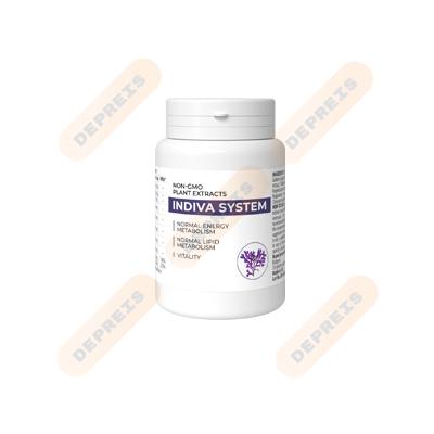 Indiva System – Schlankheitskapseln